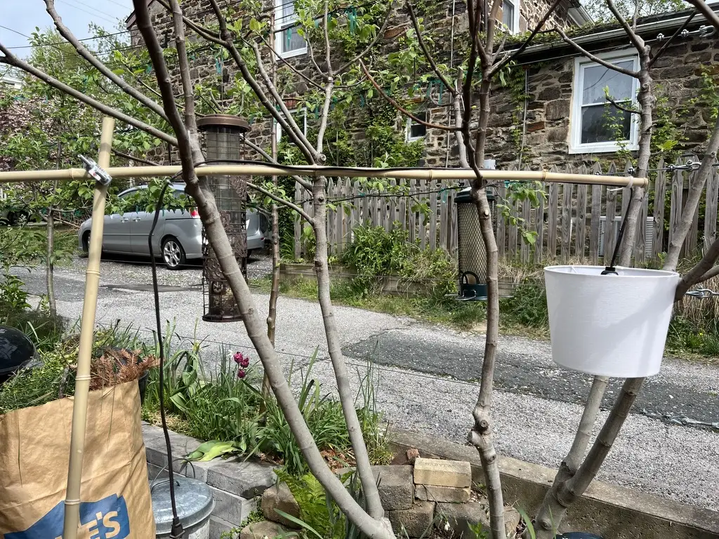 The frame outside among young trees: an upright bamboo pole with a crossbar, a white lampshade hanging from its far end