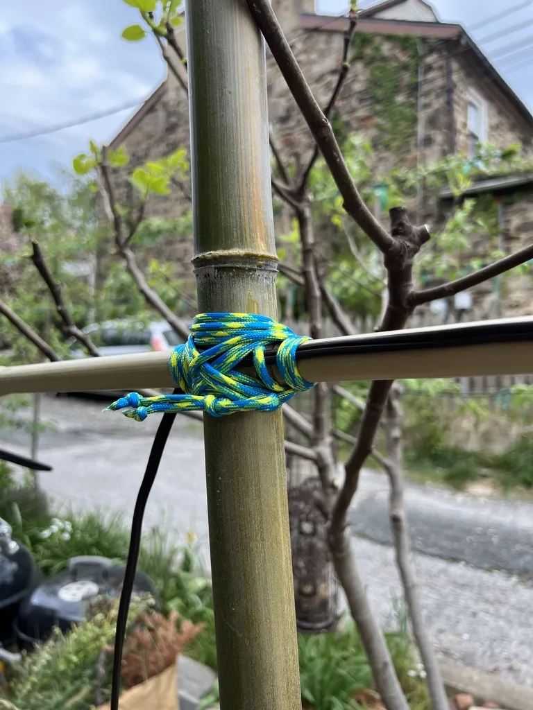 Close-up of blue and yellow paracord wrapped tight where the bamboo crossbar meets the upright pole